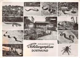 BF37094 Dortmund Schlangenfarm Germany Snake - Dortmund