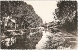 58 - Tannay - Canal Du Nivernais - Photo Collin (circulée 1957) - Tannay