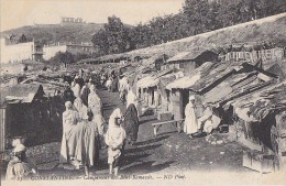 Algérie - Constantine - Campement Des Béni-Ramassés - Scènes & Types