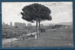 ROMA (VIA APPIA) Cartolina  Viaggiata 1920 - Ponts