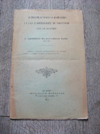 Le Mégalithe De Vouvray Sur Huisme Sarthe De Cartereau 1911 Préhistoire Rare Dolmen - Pays De Loire
