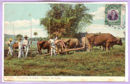 Amérique - Antilles - CUBA - Cuba