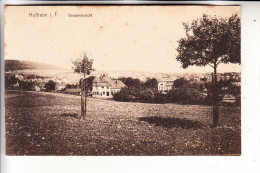 6238 HOFHEIM, Gesamtansicht, 1919 - Hofheim