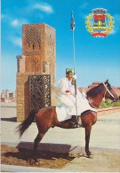 Afrique,maghreb,MAROC,MOR OCCO,RABAT,metier,cavalie R Du Roi,garde Royale,lance,cheval - Rabat