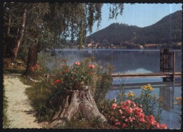 Klopeinersee-Klopeiner See-Georgibergl-circulated,perfect Condition - Klopeinersee-Orte