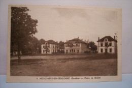 MONTFORT EN CHALOSSE  --- Poste Et Ecoles - Montfort En Chalosse