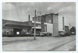 Delcampe - Carte Postale - ZONHOVEN - S.V.Lilac - CPA  // - Zonhoven