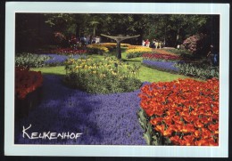 Lisse-Keukenhof-circulated,perfect Condition - Lisse