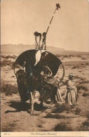 Postcard RA001706 - Camel Un Palanquin (Bassour) - África