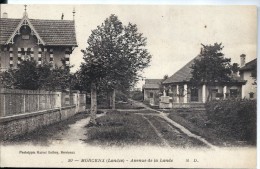 D40 - MORCENX  - Avenue De La Lande - Morcenx