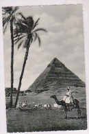 CPA PHOTO THE  CHEFREN PYRAMIDES (voir Timbres) - Pyramiden