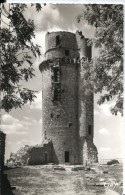 D91 - ENVIRONS DE ST MICHEL SUR ORGE  - La Tour De Monthlhery - Donjon  Vestige De L' Ancien Chateau - Saint Michel Sur Orge