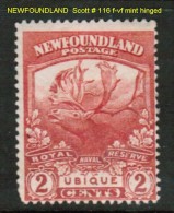 NEWFOUNDLAND    Scott  # 116* F-VF MINT HINGED - 1908-1947