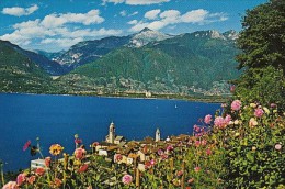 8069- VIRA (GAMBAROGNO)- MAGGIORE LAKE, PANORAMA, MOUNTAINS - Arogno