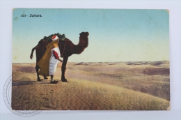 Old Postcard Sahara - Desert And Man With Camel - Sahara Occidentale