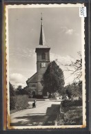 DISTRICT D´ORON /// PALEZIEUX - L'EGLISE - TB - Palézieux