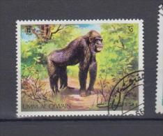 Arabie Du Sud Est Um Al Qiwan  YV ? O ? Gorille - Gorillas