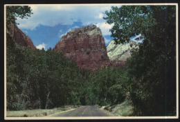 Bryce Canyon-utah-utah Cathedrals-unused,perfect Shape - Bryce Canyon