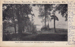 United States PPC Greetings From Kenosha Wis, - Grüsse Aus Kenosha Jacobs Island KENOSHA 1906 (2 Scans) - Kenosha