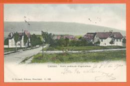 SANG252, Cernier, Ecole Cantonale D'Agriculture, Précurseur, Circulée 1904 - Cernier