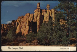 Red Canyon-bryce Canyon-unused,perfect Shape - Bryce Canyon