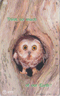 Télécarte Japon 7/11 - 7610 & NTT 231-079 - ANIMAL  Oiseau HIBOU CHOUETTE HULOTTE - OWL Bird Japan Phonecard - EULE 3581 - Gufi E Civette