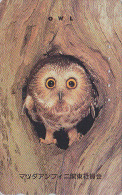RARE Télécarte Japon - Oiseau HIBOU CHOUETTE HULOTTE - OWL Bird Japan Phonecard - EULE Telefonkarte - 3582 - Búhos, Lechuza
