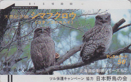 RARE Télécarte Ancienne Japon NEUVE / 110-2996 - Oiseau HIBOU - OWL Bird Japan Front Bar MINT Phonecard - EULE TK - 3589 - Eulenvögel