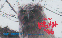 Télécarte Japon - Oiseau HIBOU CHOUETTE / NNN - OWL Bird Japan Phonecard - EULE Vogel Telefonkarte - 3612 - Hiboux & Chouettes