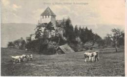 Suisse - Stein Am Rhein Mit Schloss  Hohenklingen - Kühe - Stein Am Rhein