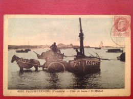 29 Finistere PLOUGUERNEAU Clair De Lune à St Michel - Plouguerneau