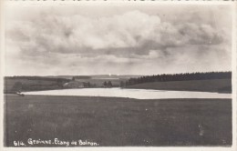 Carte Photo - Gedinne - Etang De Boiron - Gedinne