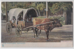 THE OVERLAND "OXPRESS" - Copyright 1897 F.L. Howe - Attelage De Boeuf - Tuck's Postcard "Way Down South" - American Roadside