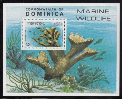 Dominica MNH Scott #624 Souvenir Sheet $3 Elkhorn Coral - Dominica (1978-...)