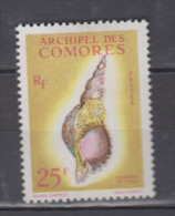 COMORES    1962            N°   24       COTE      16 € 00           ( 865 ) - Unused Stamps
