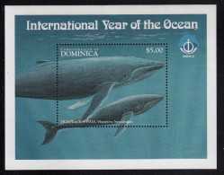 Dominica MNH Scott #2087 Souvenir Sheet $5 Humpback Whale - International Year Of The Ocean - Dominica (1978-...)