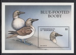 Dominica MNH Scott #2069 Souvenir Sheet $5 Blue-footed Booby - Dominica (1978-...)