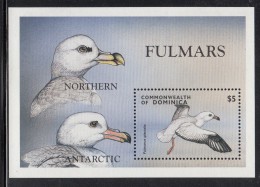 Dominica MNH Scott #2070 Souvenir Sheet $5 Northern And Antarctic Fulmars - Dominica (1978-...)