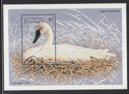 Dominica MNH Scott #1774 Souvenir Sheet $5 Trumpeter Swan - Dominique (1978-...)