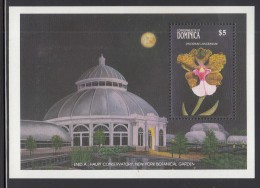 Dominica MNH Scott #1194 Souvenir Sheet $5 Oncidium Lanceanum - Orchids - Dominique (1978-...)