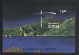 Dominica MNH Scott #988 Souvenir Sheet $5 Halley's Comet Over Dominica With Silver Overprint - Dominique (1978-...)