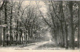 K10  /  DEPT 44 CPA GUEMENE PENFAO CHATEAU BOIS FLEURI GRANDE AVENUE / NEUVE VOIR DOS - Guémené-Penfao