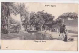 Village Of Marg - Le Caire