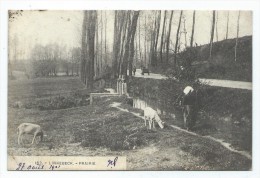 Carte Postale - LINKEBEEK - LINKEBECK - Prairie - CPA   // - Linkebeek