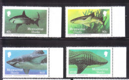 Montserrat 1987 Sharks Tiger White Whale Lemon Shark MNH - Montserrat