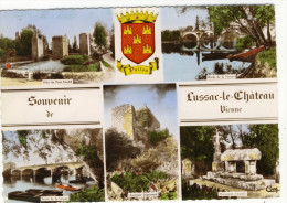 LUSSAC LES CHATEAUX. - Multivues- Souvenir . CPM Dentelée Rare - Lussac Les Chateaux