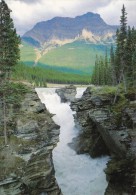 013R/  Canadian Rockies Athabaska Falls - Jasper