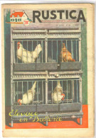 Revue Ancienne 1955 "Rustica" N° 32 Elevage En Batterie - Animals
