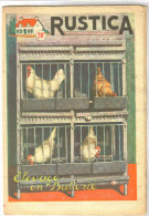 Revue Ancienne 1955 "Rustica" N° 32 Elevage En Batterie - Animaux