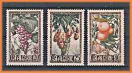 Algerie  1950 =  Fruit   279 / 81   Neuf  X X  ( Sans Trace ) - Ungebraucht